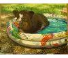 绘画学生作品-猪在一个游泳池